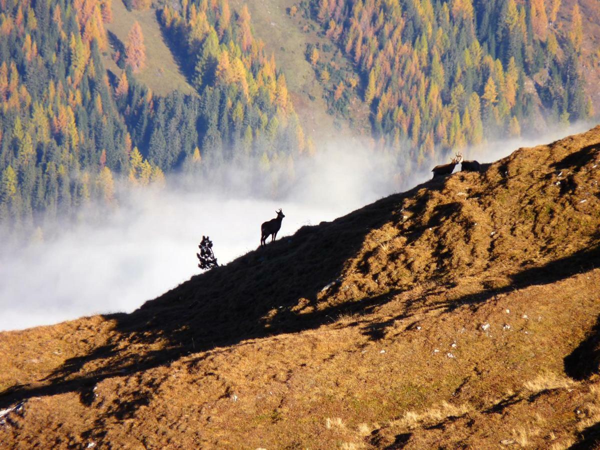 Apart Alpenflair Nauders Extérieur photo
